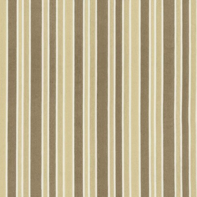 Kasmir Supple Stripe CHAMPAGNE       